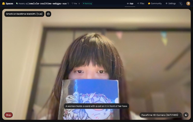 在浏览器里 100% 依赖 WebGPU 做实时视觉理解！今天看 