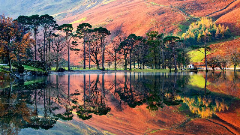 陷入沉思巴特米尔湖，湖区国家公园，英格兰，英国 (© Alan Novelli/Alamy Stock Photo)原图：