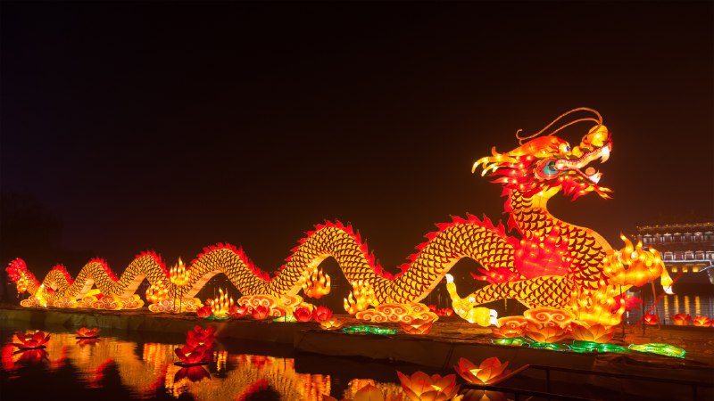 祝除夕团圆，新年顺遂！庆祝春节的龙形灯笼，中国西安 (© Pan Hong/Getty Images)4K | 1080P