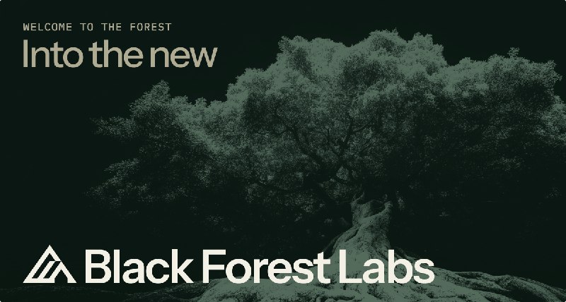 Black Forest Labs - Creators of FLUX Image Generation