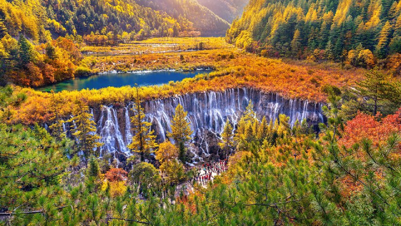 #Bing_Wallpaper彩林叠翠间的瀑布秋季九寨沟国家公园里的诺日朗瀑布, 四川省, 中国 (© tawatchaiprakobkit/Getty images)4K