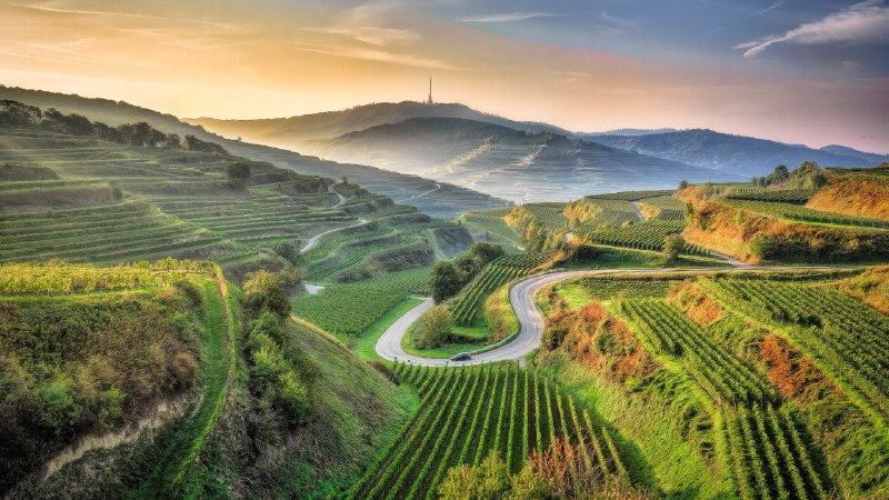 #Bing_Wallpaper风景如画的葡萄园凯撒施图尔，巴登 - 符腾堡，德国 (© EyeEM Mobile GmbH/Getty Images)4K