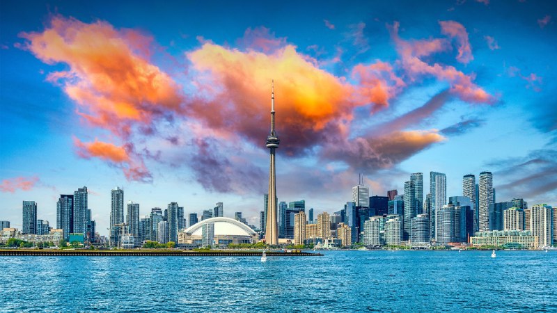 2024年多伦多国际电影节多伦多城市天际线,加拿大 (© Roberto Machado Noa/Getty Images)原图：