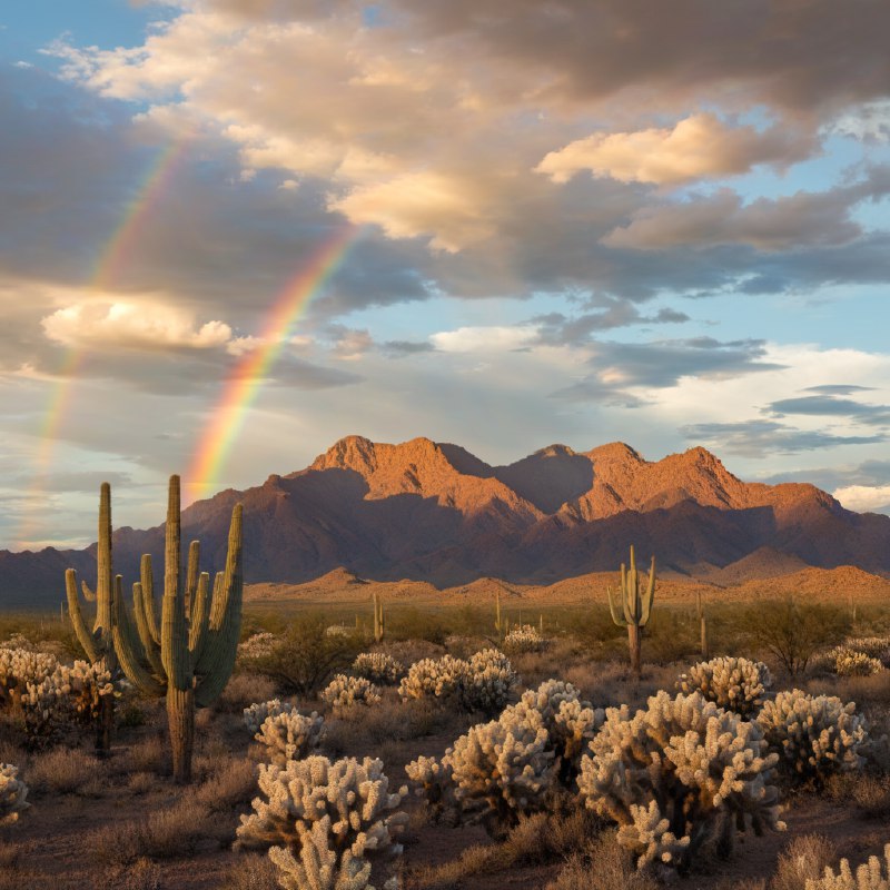 #Bing_Wallpaper亚利桑那州巨型仙人掌国家公园广阔的沙漠景观，以瓦森峰为背景，天空呈现出戏剧性变化