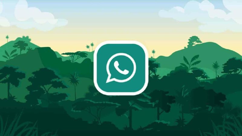 How to enable and optimize privacy settings in WhatsApp - CapcutModa.com