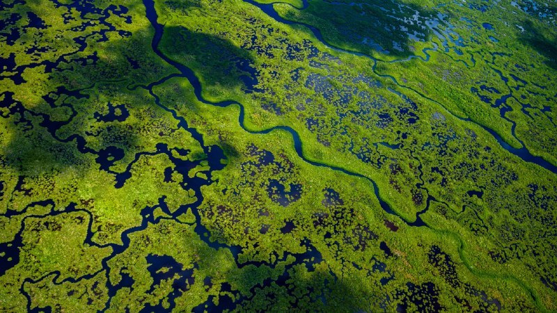 🖼 顺流而行#Bing_Wallpaper顺流而行大沼泽地国家公园航拍景观，佛罗里达州，美国 (© Tetra Images/Getty Images)4K | 1080P