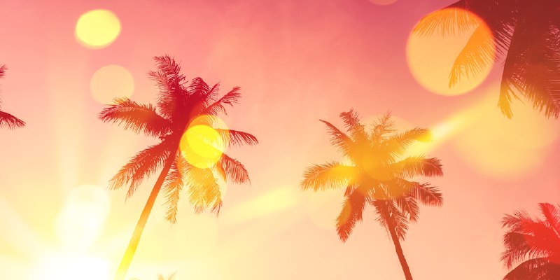 GitHub - LizardByte/Sunshine: Self-hosted game stream host for Moonlight.