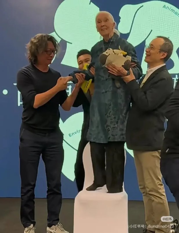 #科技爱好者周刊