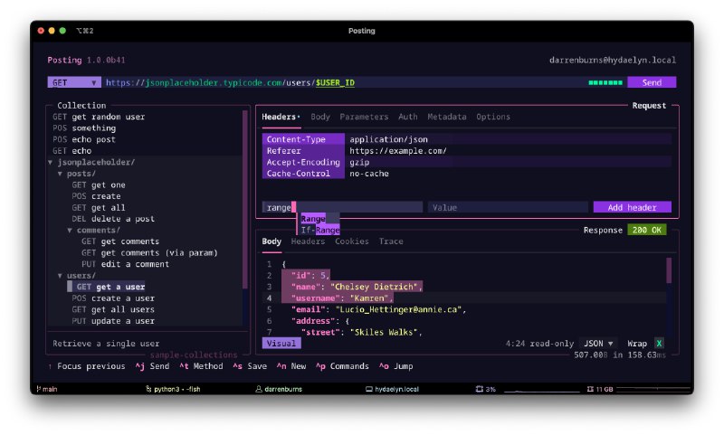 GitHub - darrenburns/posting: The modern API client that lives in your terminal.