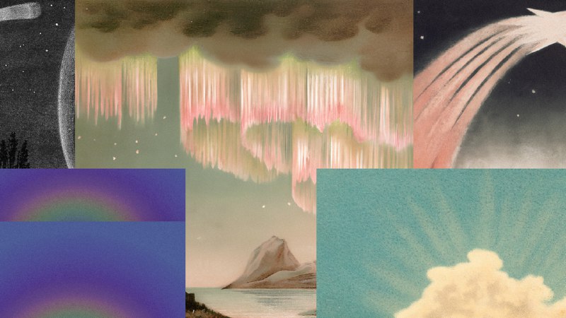 Warp CLI | Reference | Warp