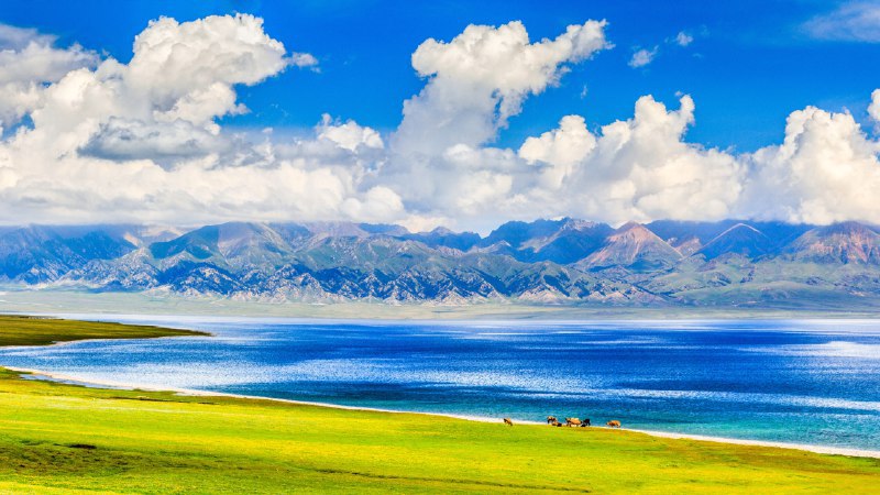 #Bing_Wallpaper天山上的蓝宝石夏季的赛里木湖，博尔塔拉蒙古自治州博乐县, 中国新疆维吾尔自治区 (© Feng Wei Photography/Getty Images)4K