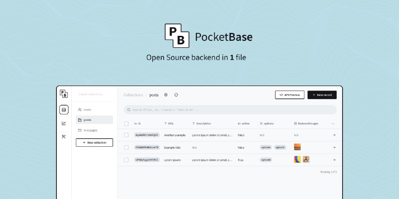 GitHub - pocketbase/pocketbase: Open Source realtime backend in 1 file