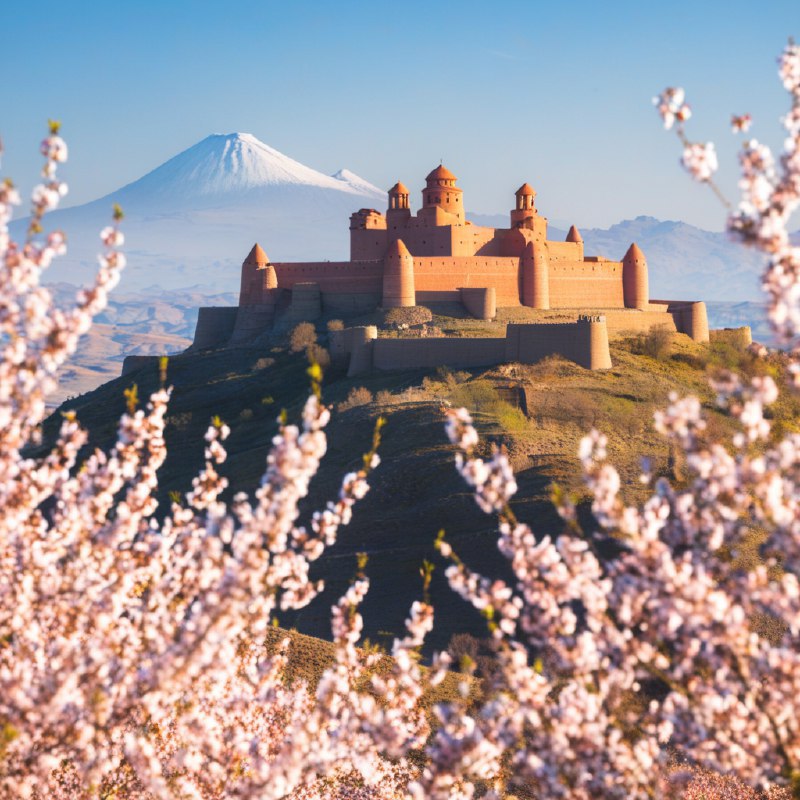 #Bing_Wallpaper“如梦似幻的西班牙城堡坐落在起伏的山丘之上，卡拉奥拉城堡由金红色的石材建成，在柔和的阳光下散发出温暖的光芒，周围是一片娇嫩盛开的粉白色樱花