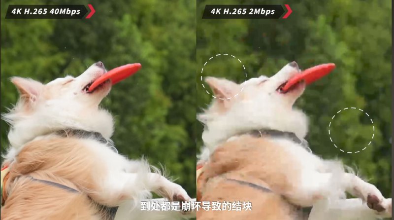 省流:B站H.264（AVC）解码清晰度最高省流:B站H.264（AVC）解码清晰度最高