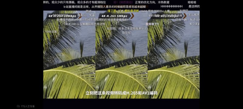 省流:B站H.264（AVC）解码清晰度最高省流:B站H.264（AVC）解码清晰度最高